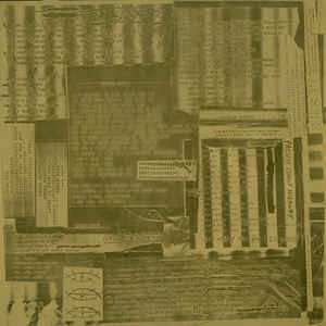 LP Sonic Youth: Sister