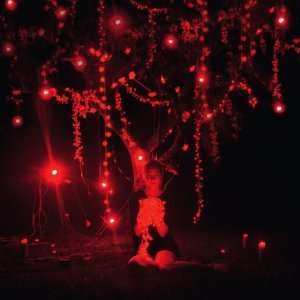 2LP/CD Sophie Hunger: The Danger Of  Light