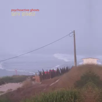 Sorry Gilberto: Psychoactive Ghosts