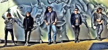 CD S.O.T.O.: Divak DIGI