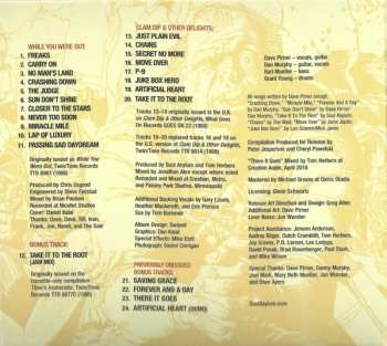 CD Soul Asylum: While You Were Out/Clam Dip & Other Delights