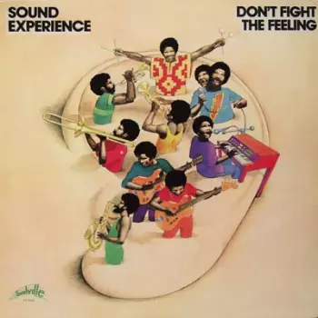 Sound Experience: Don't Fight The Feeling