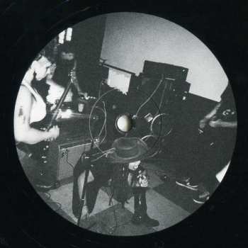 LP Special Interest: Trust No Wave
