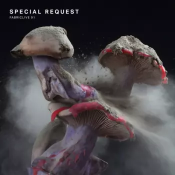 Special Request: Fabriclive 91