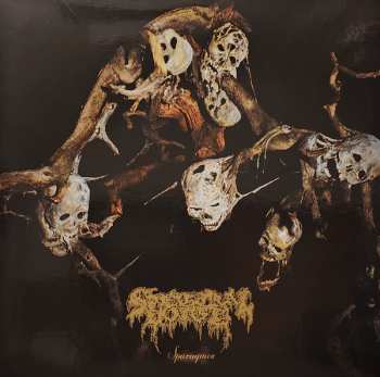 Album Spectral Voice: Sparagmos