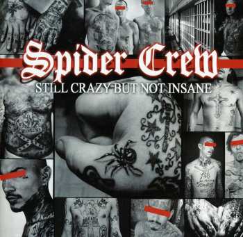 CD Spider Crew: Still Crazy But Not Insane