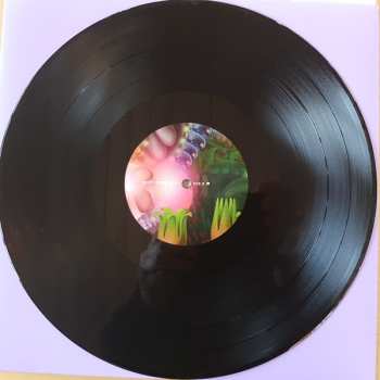 LP/CD Spidergawd: Spidergawd V LTD