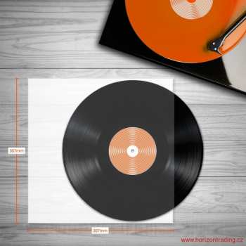 Audiotechnica Spincare Audiophile 12 Inch Inner Vinyl Record Sleeves - 100 Ks