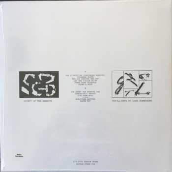 LP The Spirit Of The Beehive: You'll Have To Lose Something CLR | LTD