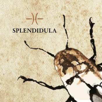 CD Splendidula: Splendidula