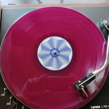 LP Splinter: Filthy Pleasures LTD | CLR