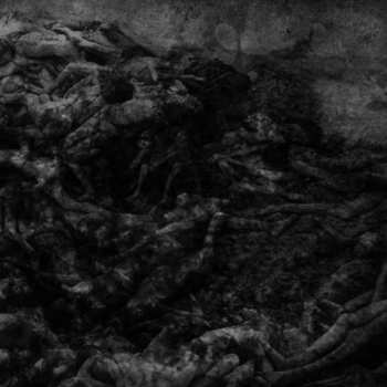 Album Abstracter: Split