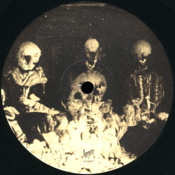 2LP Spotlights: Alchemy For The Dead