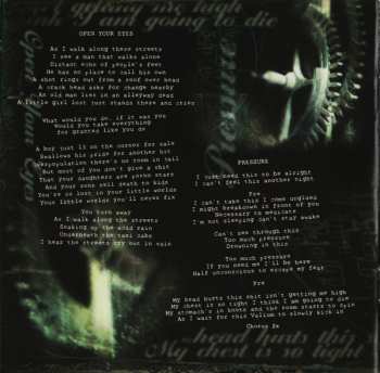 CD Staind: Break The Cycle