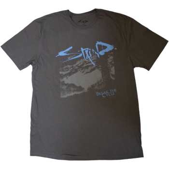 Merch Staind: T-shirt Break The Cycle