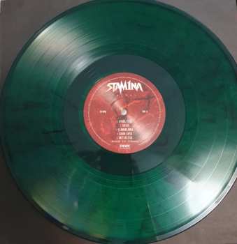 LP Stam1na: Taival CLR | LTD