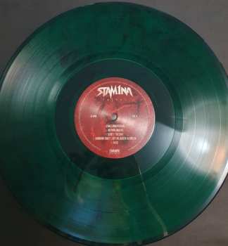 LP Stam1na: Taival CLR | LTD