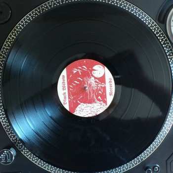 LP Standarte: Stimmung LTD