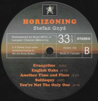 LP Stefan Gnys: Horizoning