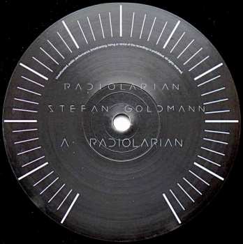 LP Stefan Goldmann: Radiolarian