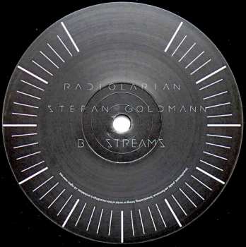 LP Stefan Goldmann: Radiolarian