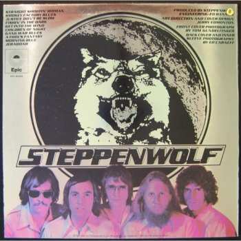 LP Steppenwolf: Slow Flux
