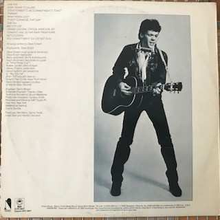 LP Steve Forbert: Alive On Arrival