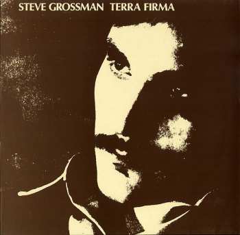 LP Steve Grossman: Terra Firma