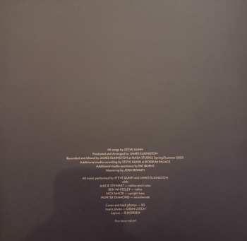 LP Steve Gunn: Daylight Daylight