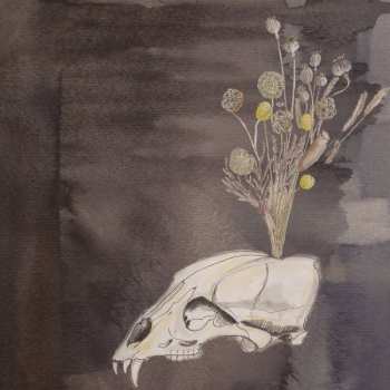 Album Steve Gunn: Seasonal Hire