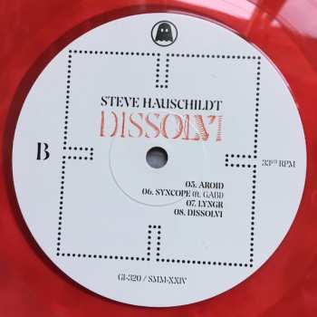 LP Steve Hauschildt: Dissolvi CLR | LTD