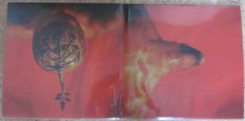2LP Steve Walsh: Glossolalia LTD | CLR
