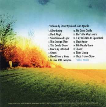 11CD/Doos Steve Wynn: Decade