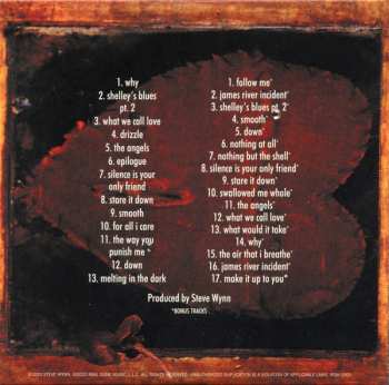 11CD/Doos Steve Wynn: Decade