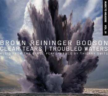 Album Blaine L. Reininger: Clear Tears | Troubled Waters