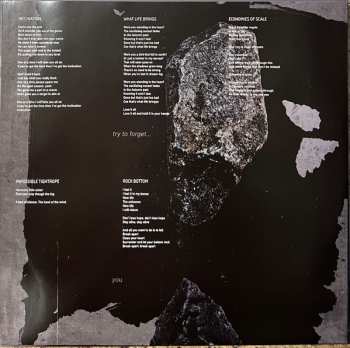 2LP Steven Wilson: The Harmony Codex CLR | LTD