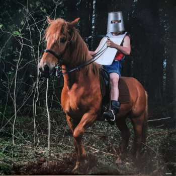 2LP Steve'n'Seagulls: Brothers In Farms
