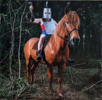 2LP Steve'n'Seagulls: Brothers In Farms