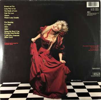 LP Stevie Nicks: The Other Side Of The Mirror