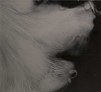 CD Stian Westerhus: Pitch Black Star Spangled