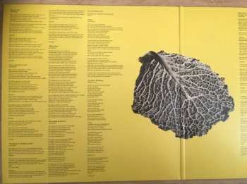 2LP Stiff Little Fingers: Get A Life DLX | LTD