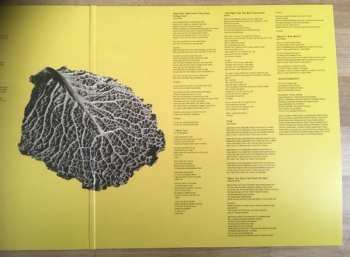2LP Stiff Little Fingers: Get A Life DLX | LTD