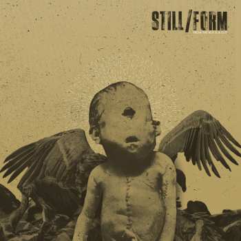LP Still / Form: From The Rot Is A Gift