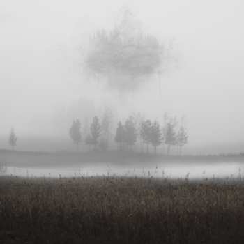 CD Stilla: Skuggflock