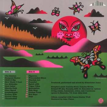 LP Stimulator Jones: Low Budget Environments Striving For Perfection