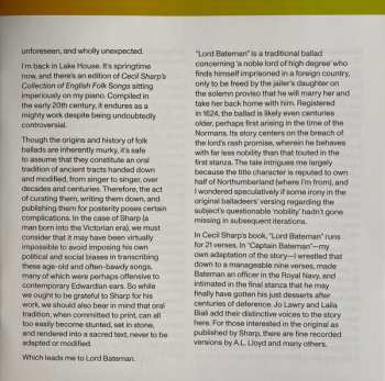 CD Sting: The Bridge DLX