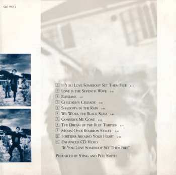 CD Sting: The Dream Of The Blue Turtles