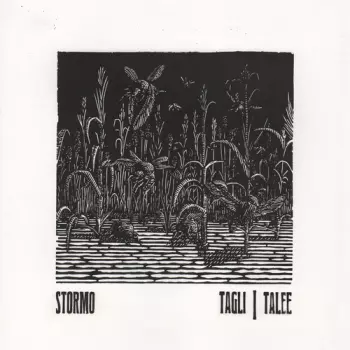 Stormo: Tagli/talee