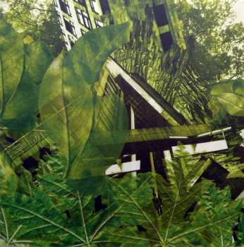 CD Strategy: Drumsolo's Delight