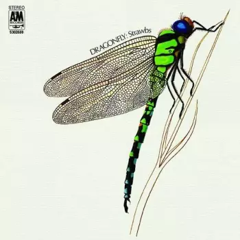 Strawbs: Dragonfly